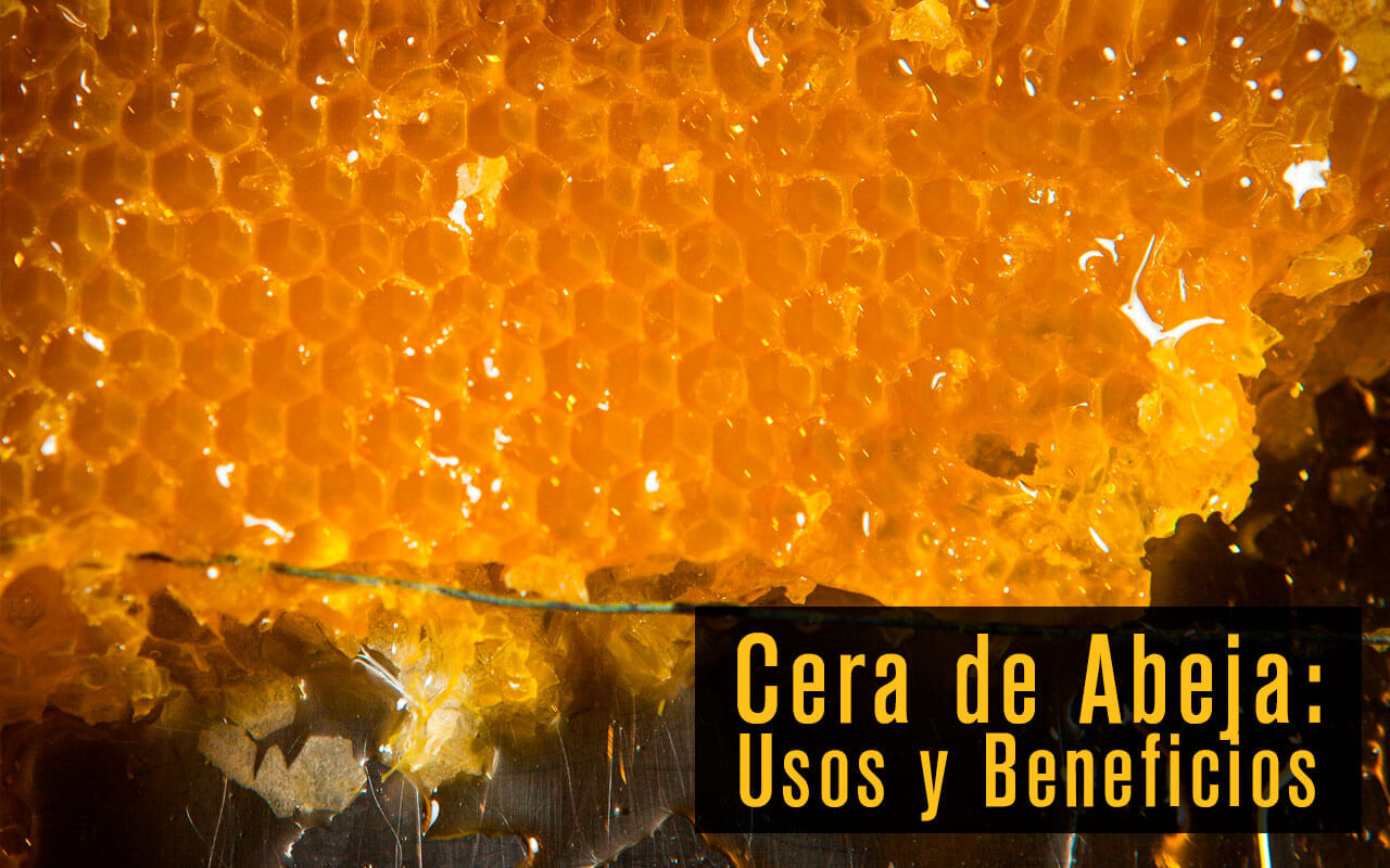 Cera de Abeja: Usos y Beneficios