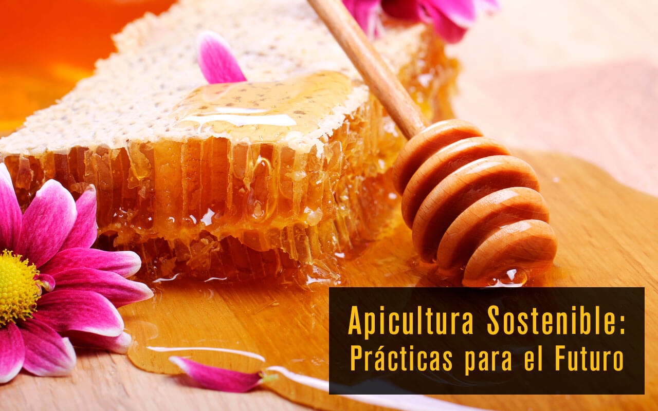 Apicultura Sostenible: Prácticas para el Futuro