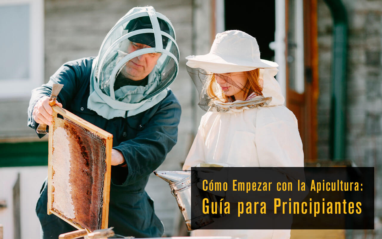 Cómo Empezar con la Apicultura: Guía para Principiantes