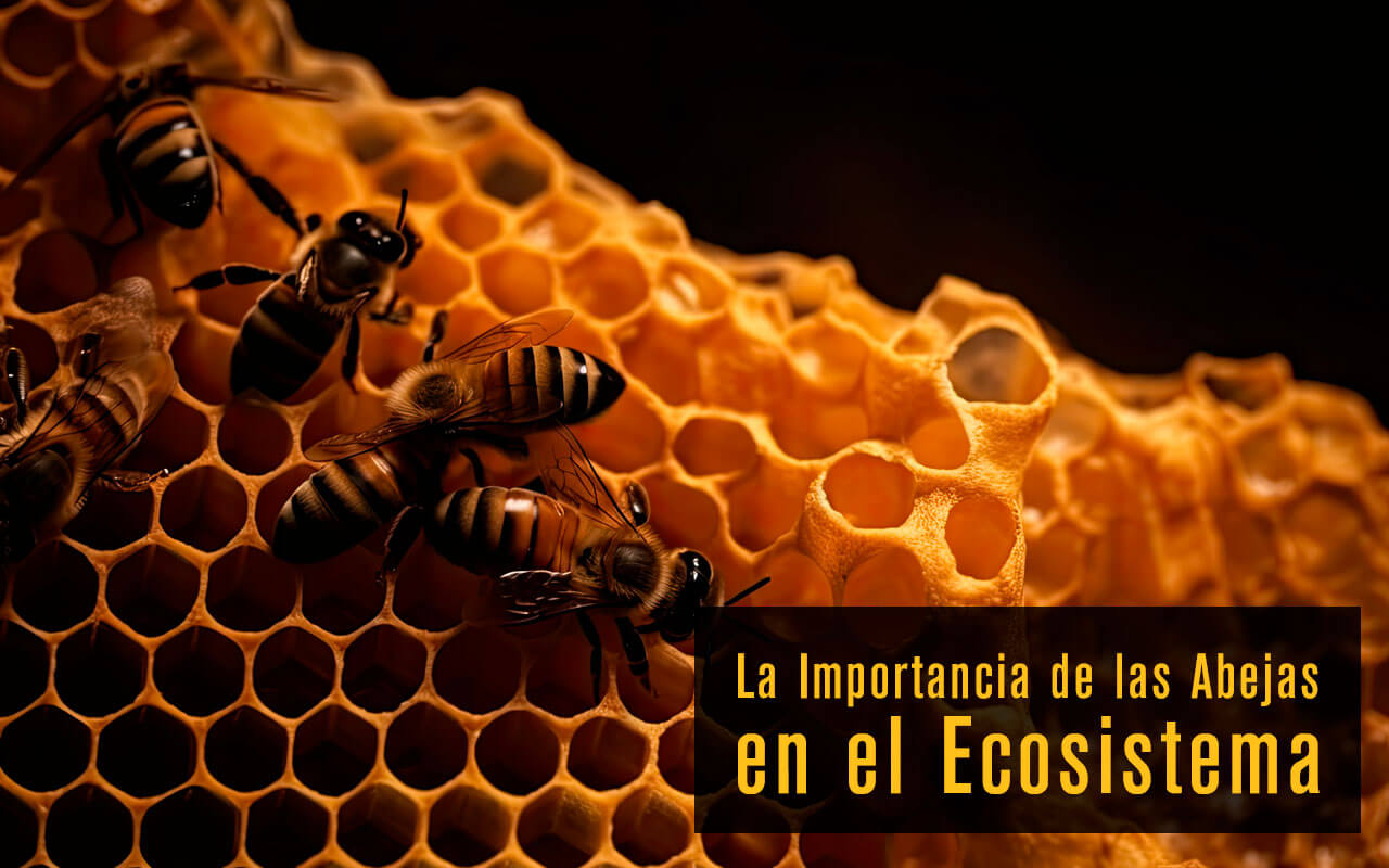 La Importancia de las Abejas en el Ecosistema