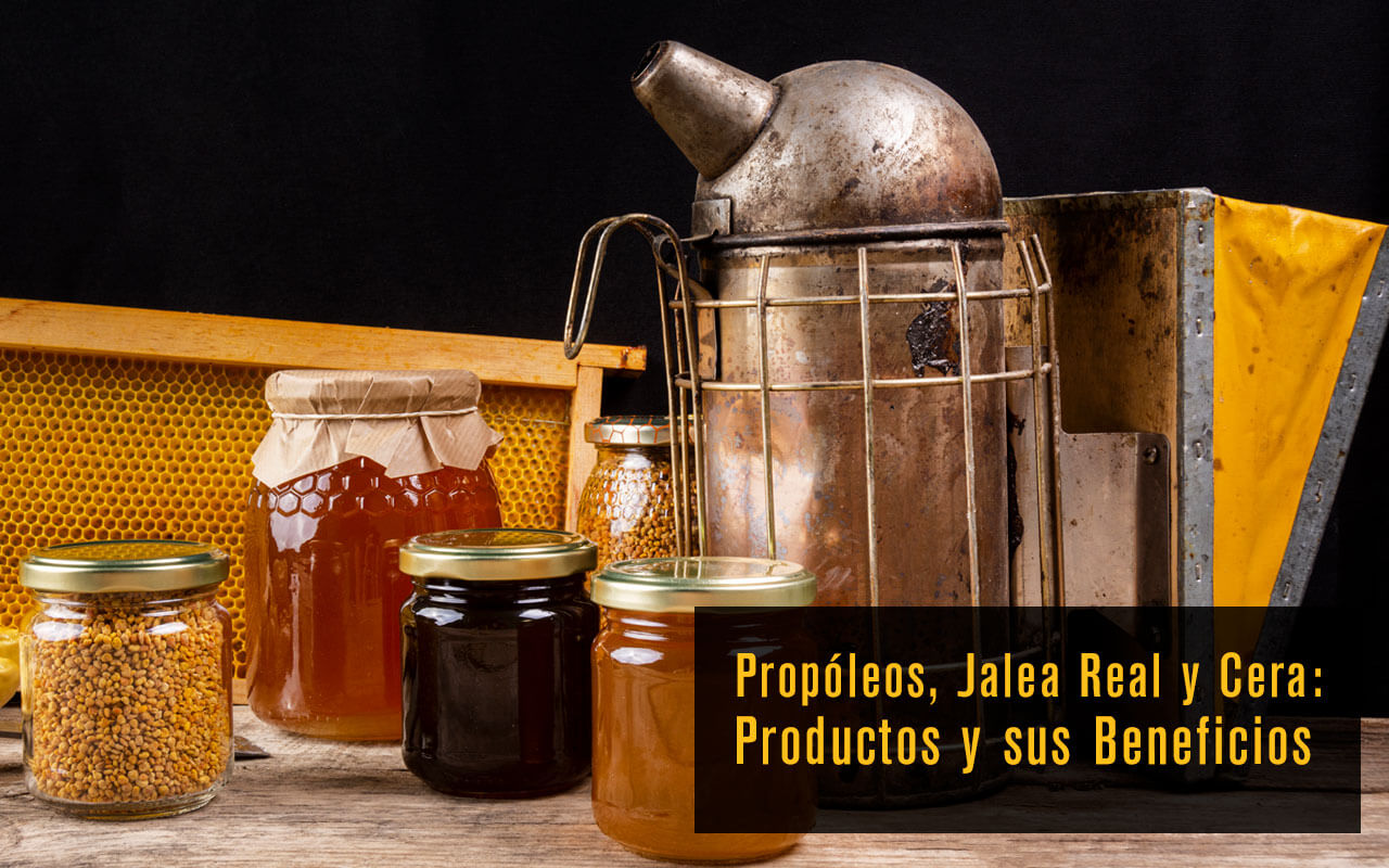 Propóleos, Jalea Real y Cera: Productos y sus Beneficios