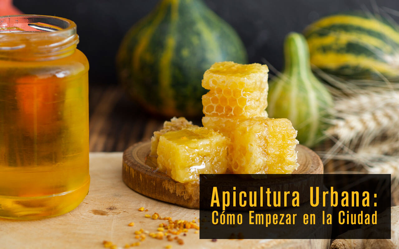 Apicultura Urbana: Cómo Empezar en la Ciudad