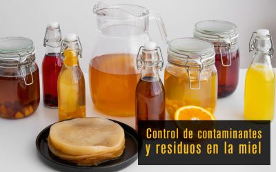 Control de Residuos y Contaminantes en la Miel
