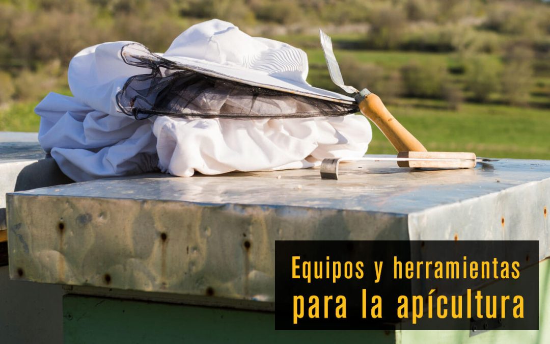 Equipos Clave para la Producción Comercial de Miel