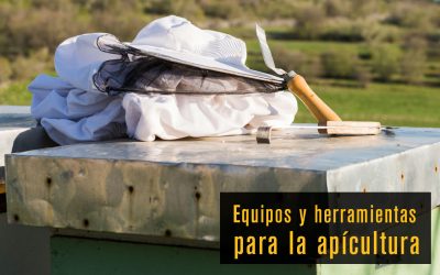Equipos Clave para la Producción Comercial de Miel