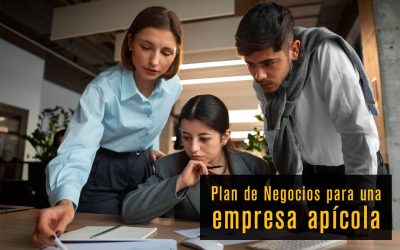 Cómo Desarrollar un Plan de Negocios Apícola